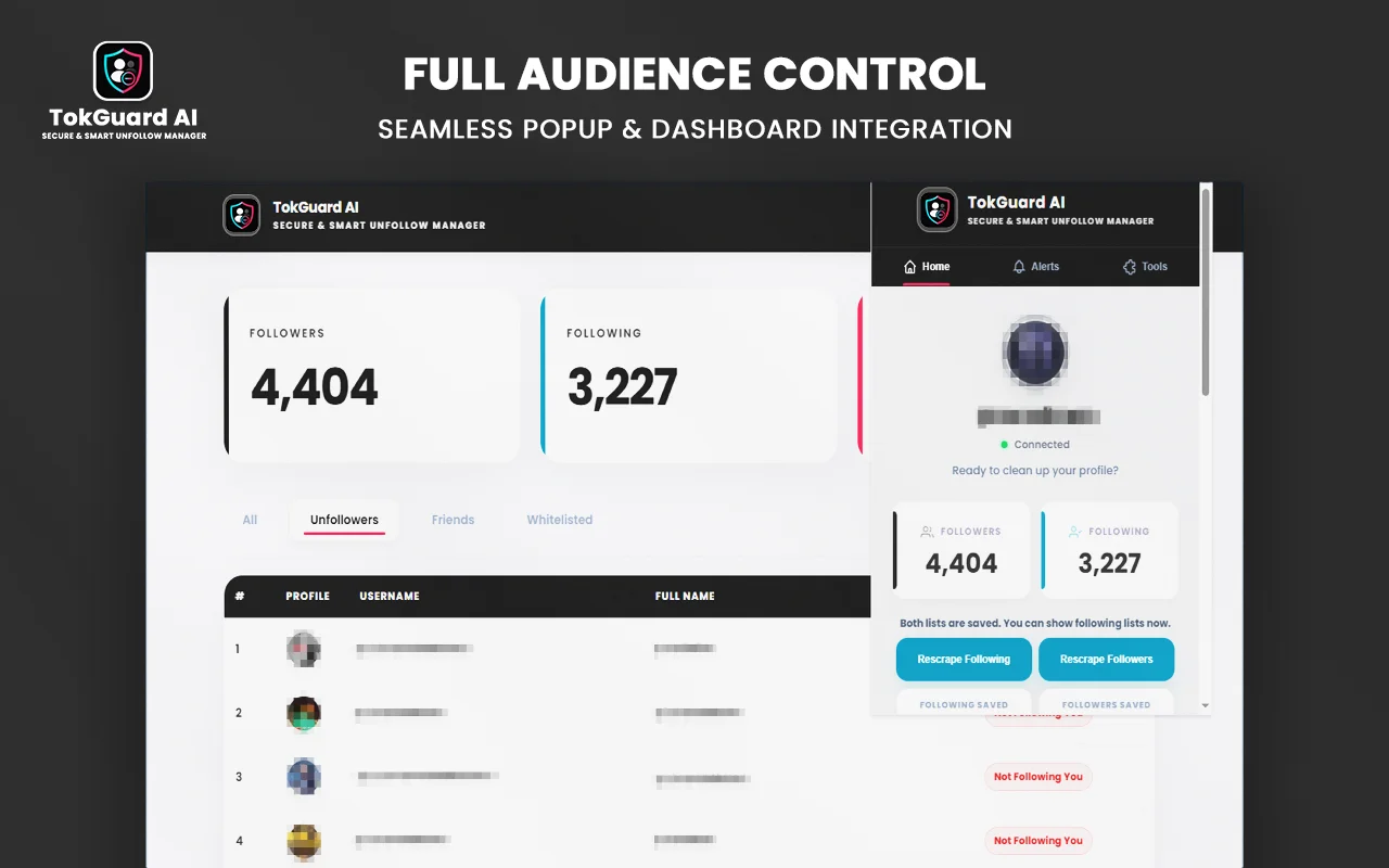 TikTok Growth