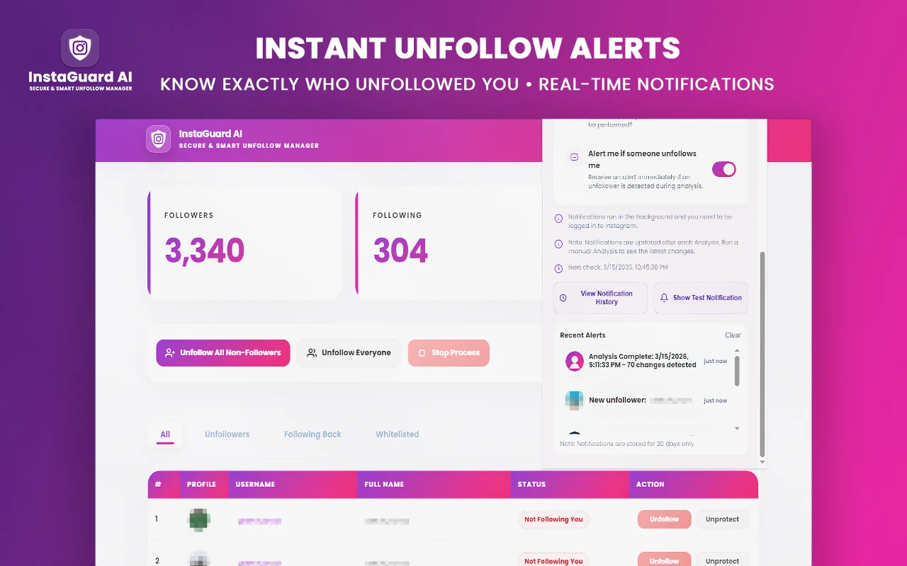 Instagram Account Audit