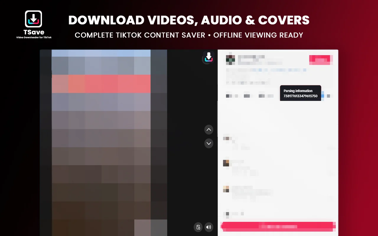 TikTok Video Downloader